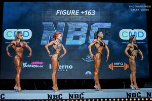 FIGURE +163